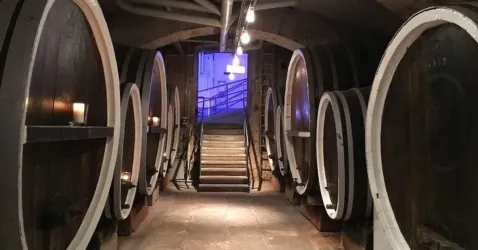 fp3 (© Tourist Info Wachenheim)