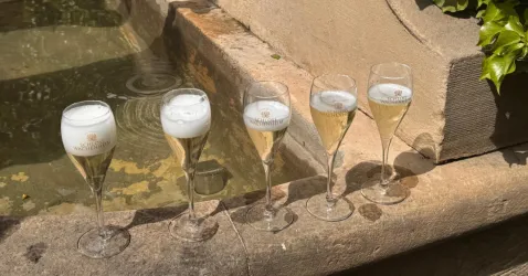 Fünf Gläser Sekt stehen auf einer Steinoberfläche neben einem kleinen Wasserbecken. Die Gläser enthalten unterschiedliche Mengen an Sekt und sind in einem sonnigen Ambiente platziert.