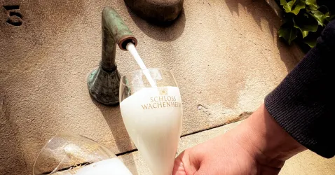 Ein Glas Sekt wird aus einem alten Wasserhahn eingeschenkt. Im Hintergrund ist eine Steinwand mit Pflanzen zu sehen.