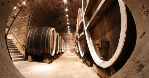 P (© Tourist Info Wachenheim)