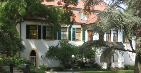 P3 (© Tourist Info Wachenheim)