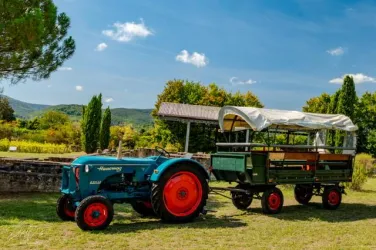 Rundfahrt 3 (© Tourist Info WH)