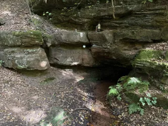 Eine kleine Wasserquelle fließt unter einem Felsen. Moos und farbige Blätter umgeben den Bereich.
