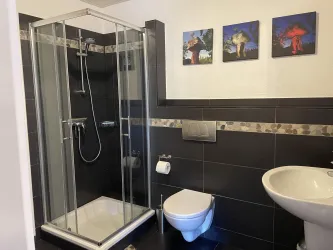 Ein modernes Badezimmer mit einer Dusche und einer Toilette. An der Wand hängen drei bunte Bilder.