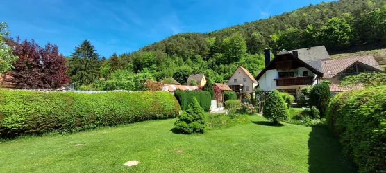 Garten mit Gartenteich