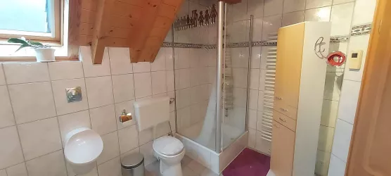 Badezimmer mit Dusche