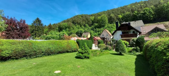 Gartenwiese hinterm Haus