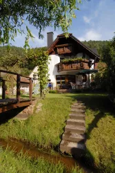Bachlauf am Eibach