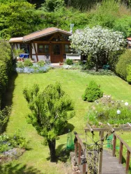 Blick in den Garten