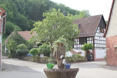Brunnen (© Archiv TI Bad Bergzabern)