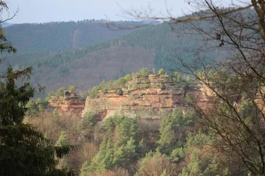 Haselstein (© Archiv TI Bad Bergzabern)