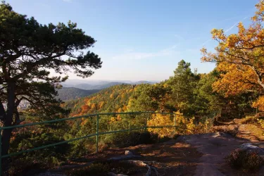 Buhlstein (© Archiv TI Bad-Bergzabern)