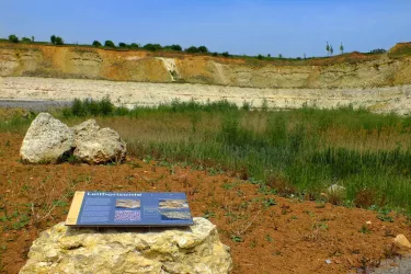 Geopark Göllheim (© Kurt Lahr)