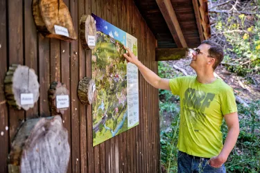 Ein Mann betrachtet das Wimmelbild an der Kriegsberghütte.