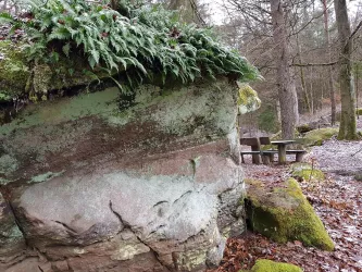 Rückansicht Wildsaufelsen