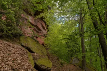 Pfad hoch zum Bauwalder Felsen