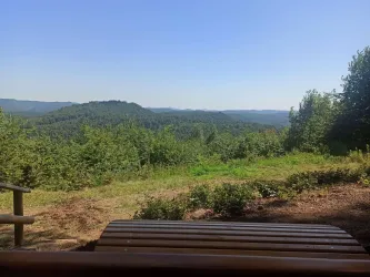 Blick vom Kurzelberg