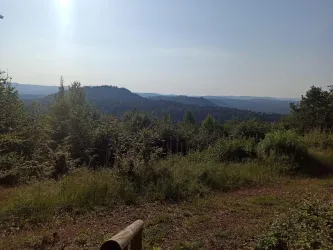 Blick vom Kurzbelberg