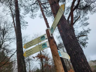 Wegweiser Wanderparkplatz Sauweiher