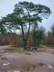 Wanderparkplatz Sauweiher