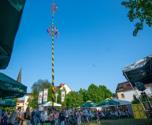 Münchweiler Kienholzfest (© Südwestpfalz Touristik e.V.)