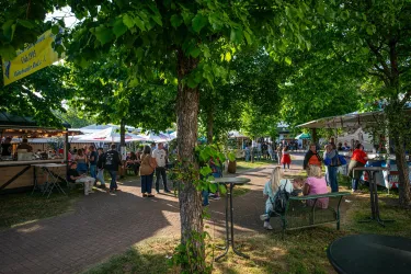 Kienholzfest Münchweiler