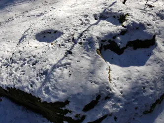 Opferstein im Winter