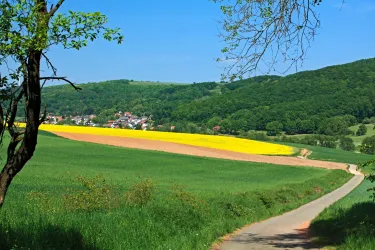 Eine idyllische Landschaft mit bunten Feldern und sanften Hügeln. Ein kleiner Weg führt durch die grüne Wiese hin zu einem Dorf im Hintergrund.