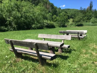 Picknickplatz (© Verein SÜW Annweiler e.V.)