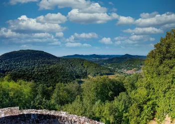 Trifelsblick von Neuscharfeneck