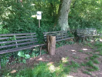 Bänke Schöne Aussicht (© Verein SÜW Annweiler e.V.)