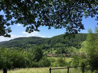 Schöne Aussicht (© Verein SÜW Annweiler e.V.)