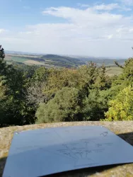 Aussicht Sattelbergturm