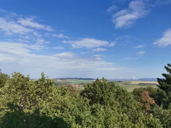 Panoramablick Sattelbergturm