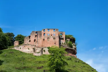 Eine alte Burg steht auf einem Hügel, umgeben von grünem Gras und Bäumen. Der Himmel ist klar und blau.