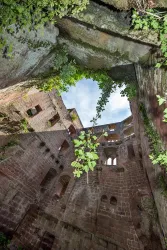 Ein Blick nach oben in eine alte Ruine mit grünem Efeu und einem klaren Himmel. Die Wände sind aus Stein und zeigen Spuren der Zeit.