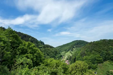 Eine grüne Landschaft mit sanften Hügeln und dichten Wäldern. Der Himmel ist blau mit wenigen Wolken.