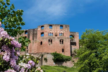 Eine alte Ruine mit roten Ziegelsteinen, umgeben von grünem Laub und blühenden Pflanzen. Der Himmel ist klar und blau.