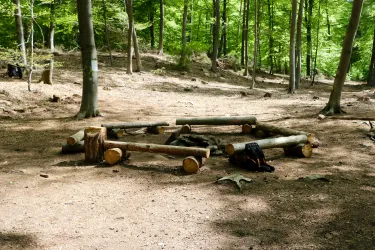 Ein rustikaler Platz im Wald mit Holzstämmen, die zu einem Kreis angeordnet sind. Umgeben von grünen Bäumen und einem natürlichen Boden.