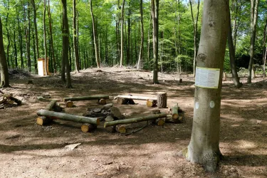 Ein einfaches Lagerfeuer-Stellplatz im Wald aus Holzstämmen. Im Hintergrund sind Bäume und eine kleine Hütte zu sehen.