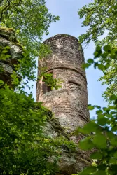 Ein alter, steinerner Turm, von Bäumen umgeben. Der Himmel ist klar und blau.