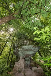 Ein großer, von Bäumen umgebener Felsen mit üppigem Grün und etwas Sonnenlicht, das durch das Blätterdach schimmert. Die Landschaft wirkt friedlich und naturnah.