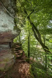 Ein schmaler Pfad führt entlang einer Felswand, umgeben von dichtem Grün. Hohe Bäume und Sonnenlicht schaffen eine gemütliche, natürliche Atmosphäre.