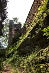 Eine alte Ruine, umgeben von üppigem Grün und Bäumen. Die Mauer ist von Pflanzen bewachsen und strahlt eine ruhige, natürliche Atmosphäre aus.