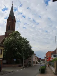 Katholische Kirche Bild 3 (© Urlaubsregion Freinsheim)