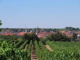 Weisenheim am Sand (© Elke Metzger)