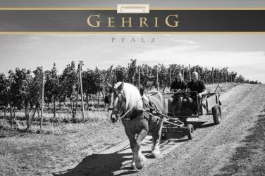 Banderole Weingut Gehrig (© Weingut Gehrig)