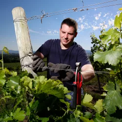 Thorsten Reuther (© Weingut Reuther)