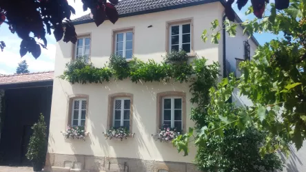 Gästehaus (© Weingut Gehrig)