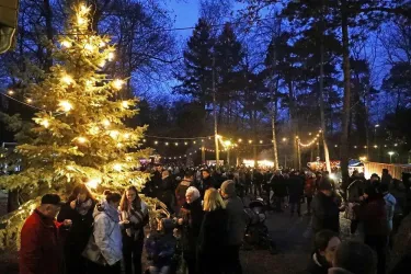 Ein festlicher Weihnachtsmarkt bei Dämmerung mit einem beleuchteten Weihnachtsbaum. Viele Menschen genießen die Atmosphäre und die festliche Stimmung.
